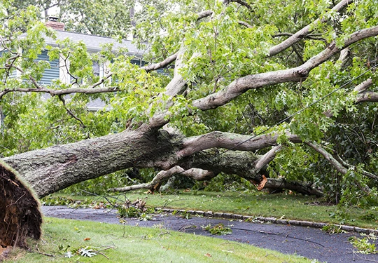 Get Trustworthy Storm Damage Restoration​