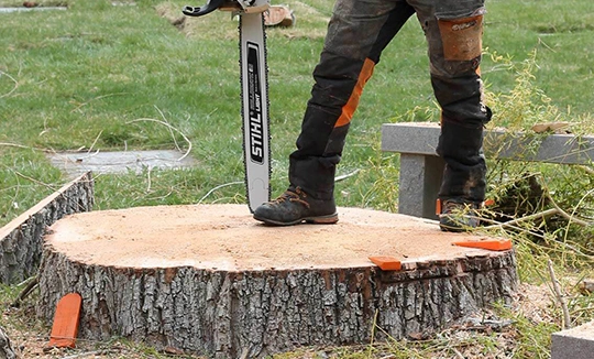 Our Process of Stump Removal Services​