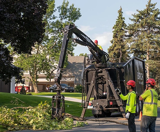 Process of Our Residential Tree Service​