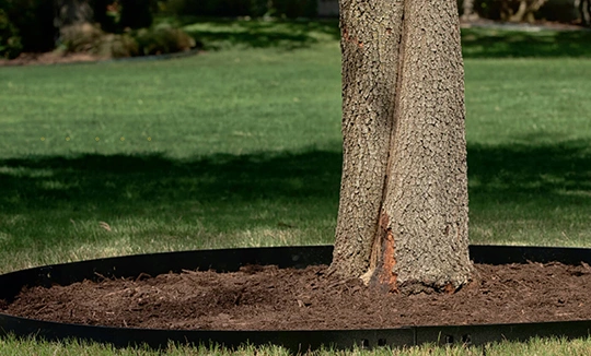 Commercial, and Municipal Tree Services​